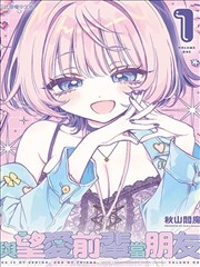 日漫经典《银翼的夏日》封面